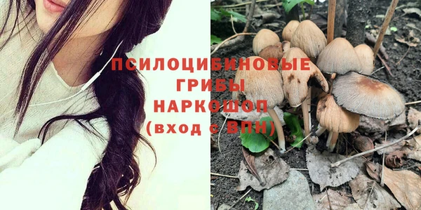 спиды Медногорск