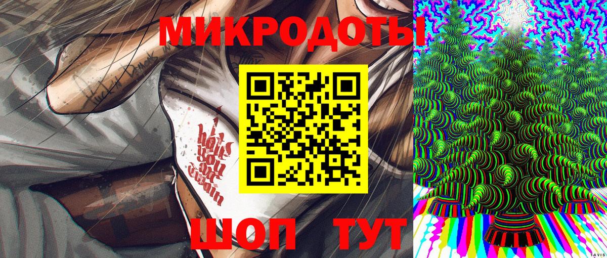 Псилоцибиновые грибы Psilocybe Тихвин