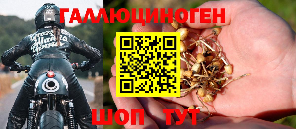 Галлюциногенные грибы Cubensis  Галлюциногенные грибы MAGIC MUSHROOMS  Тихвин  Вход с VPN 